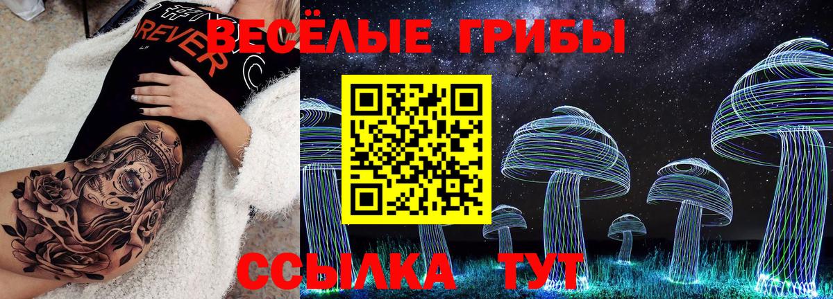 Новоалександровск  Псилоцибиновые грибы GOLDEN TEACHER  Вход с VPN 