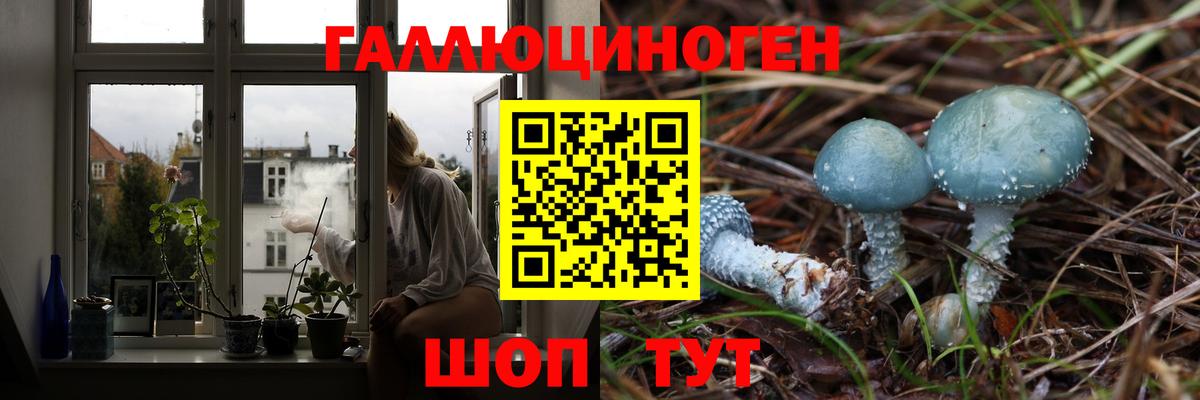 Галлюциногенные грибы Cubensis Новоалександровск