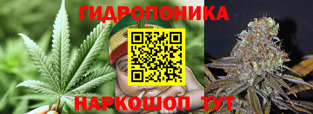 Конопля MAZAR  Вход с VPN  МАРИХУАНА SATIVA & INDICA  Бошки Шишки семена  Канабис AK-47  Новоалександровск 